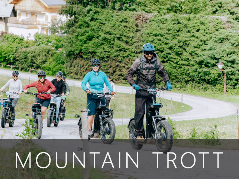 Mountain trott sur un chemin de montagne entouré de forêts alpines.