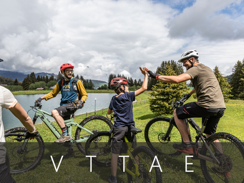 Cyclistes en VTTAE explorant les sentiers alpins.